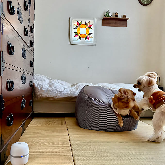 chachamamaさんの部屋