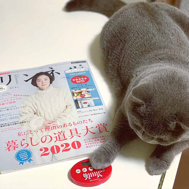 kittyさんの実例写真