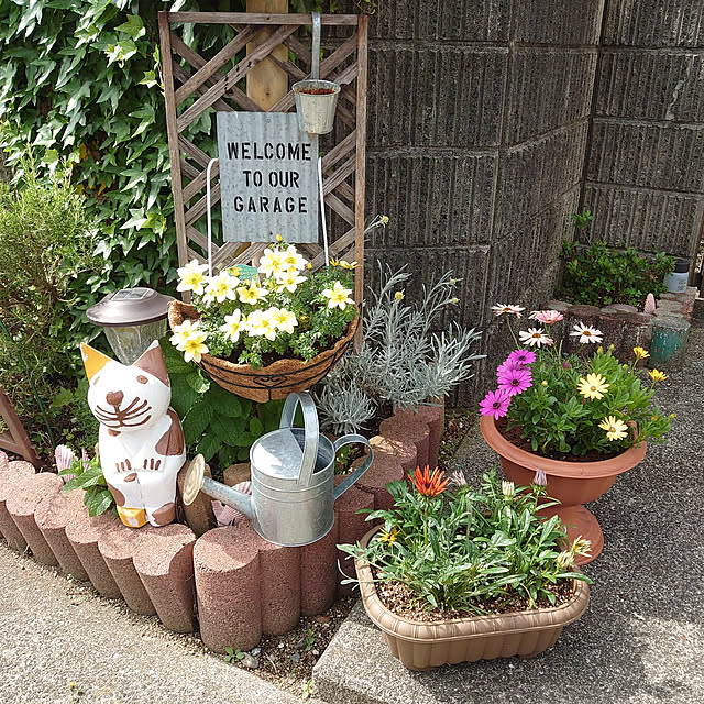 fukuさんの実例写真