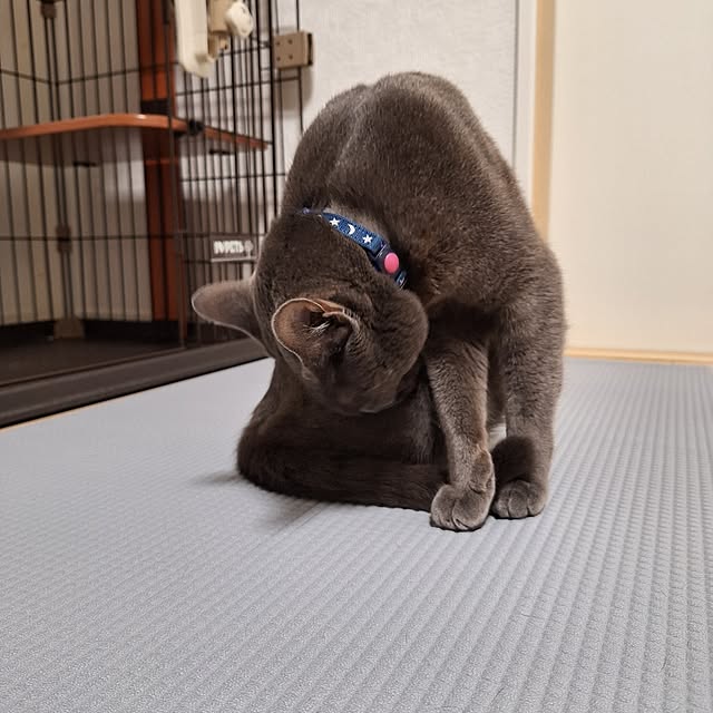 asahinaさんの実例写真