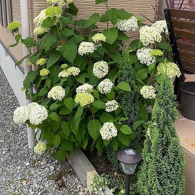 shizzzさんの実例写真