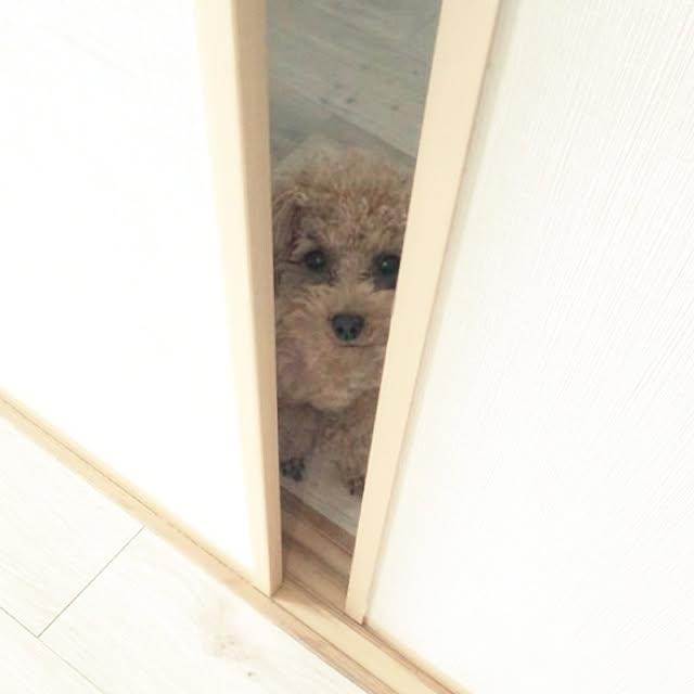 erisavesu4さんの実例写真
