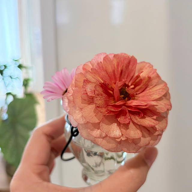 chipsさんの部屋