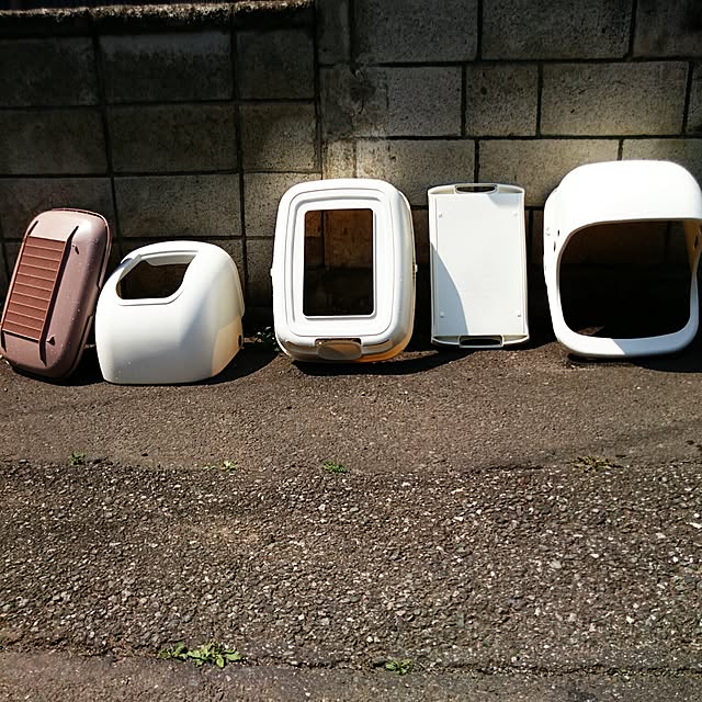 shiiiさんの実例写真