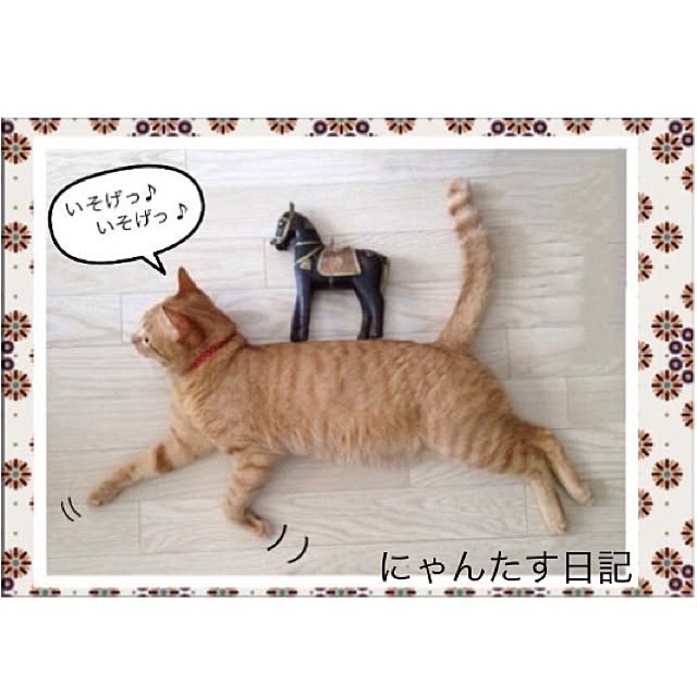 n-sanさんの実例写真