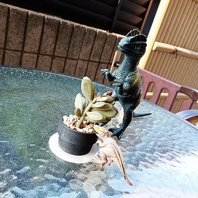 ckkさんの実例写真