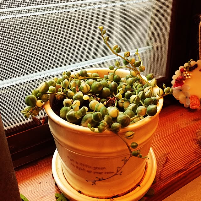 tomonon0812さんの実例写真