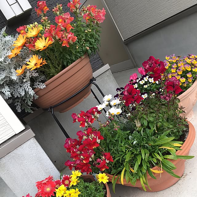 abin2010311さんの実例写真