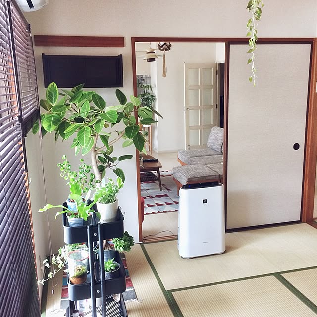 hitomiさんの実例写真