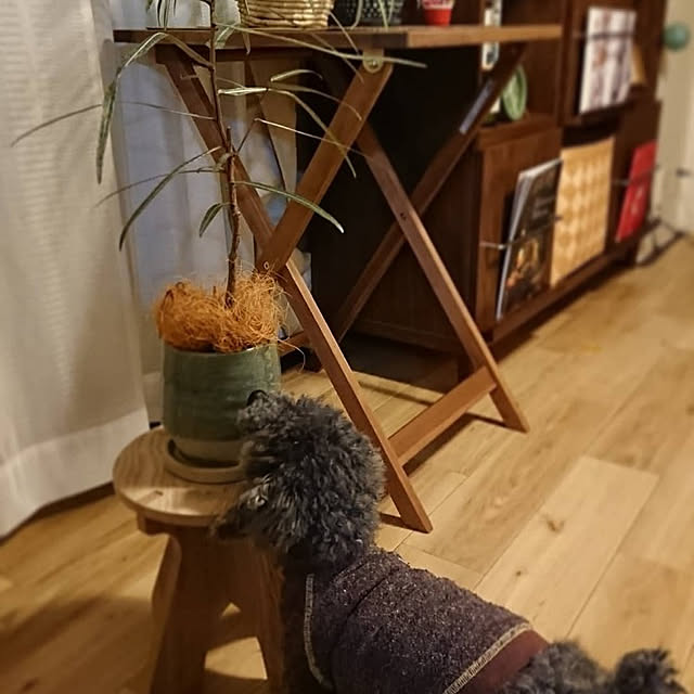 kanonさんの実例写真