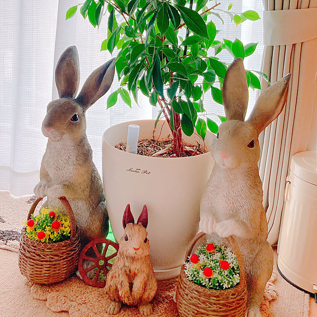 Hanakaさんの部屋