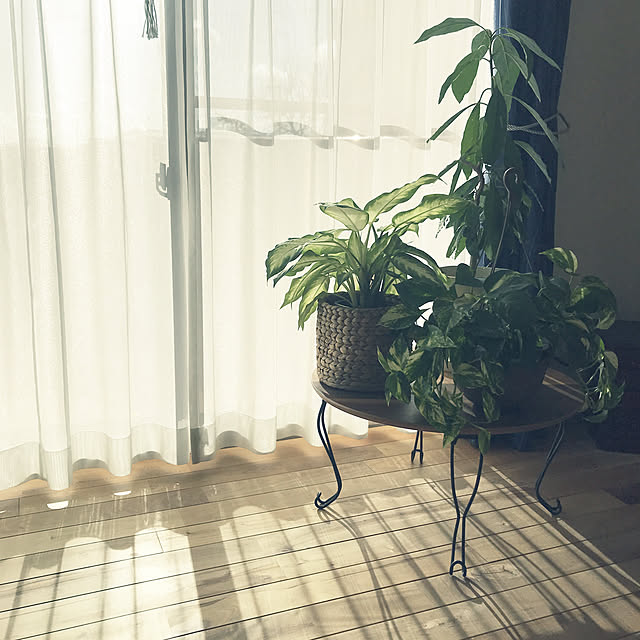 okadajapanさんの実例写真