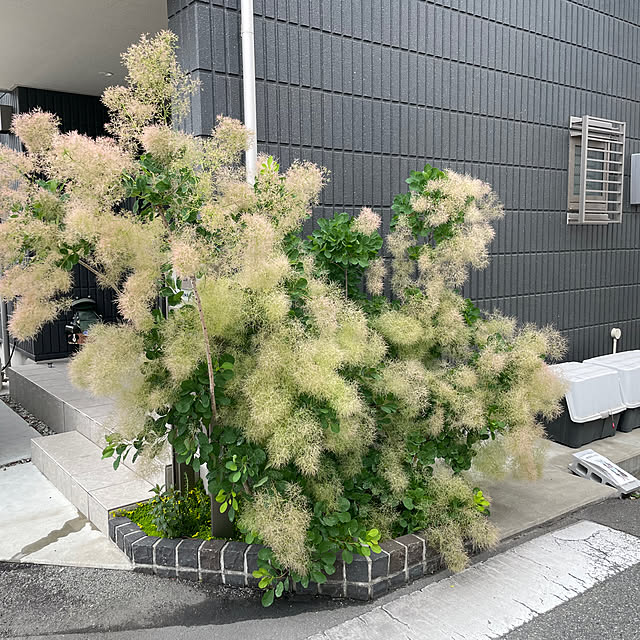 na-co1024さんの実例写真