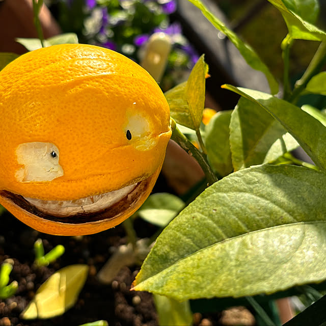 syutmmさんの部屋