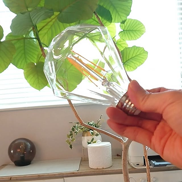SHIROYAGIさんの部屋