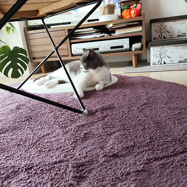 KEIKOさんの実例写真