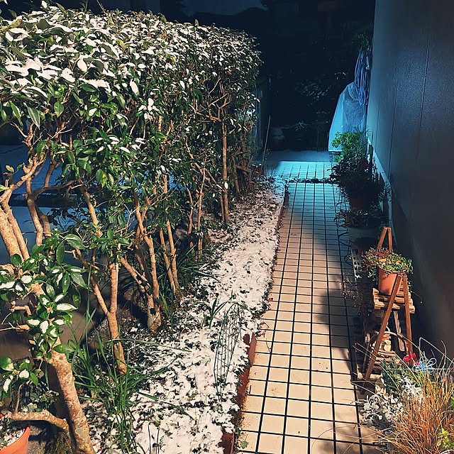 katさんの部屋