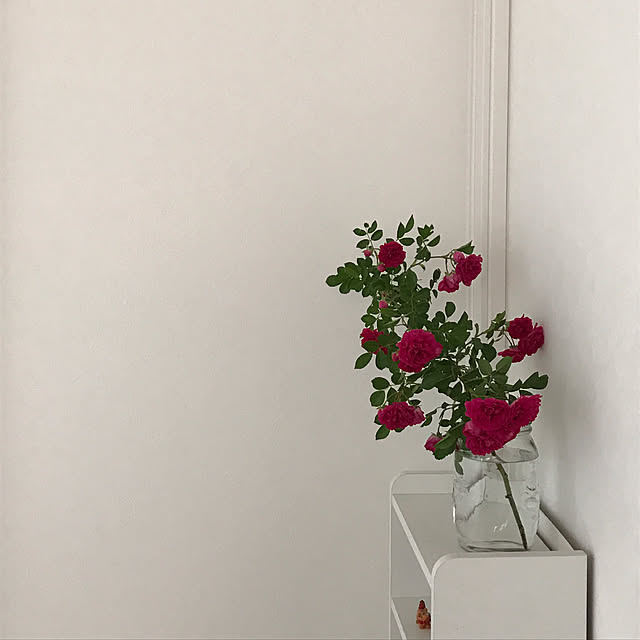 玄関/入り口/植物のインテリア実例 - 2017-08-30 12:23:04