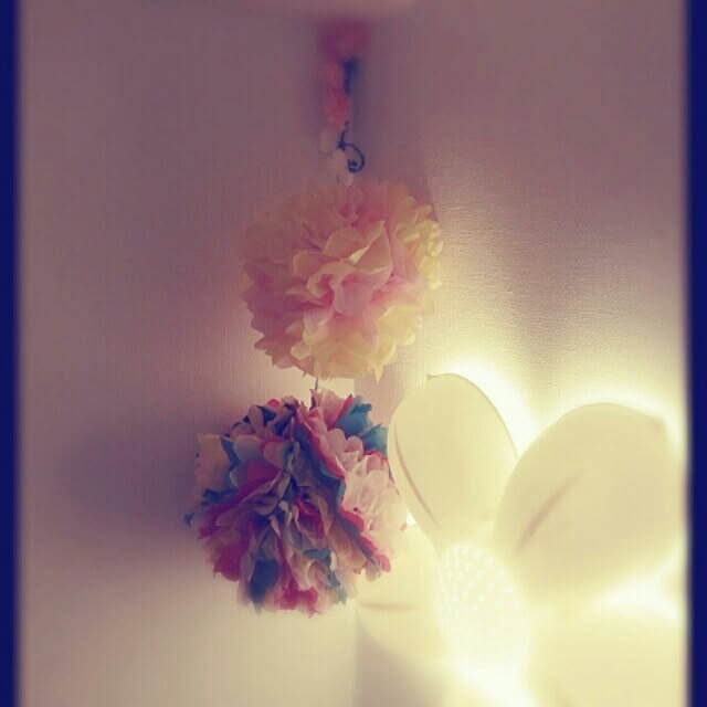 ayu_unsourireさんの実例写真