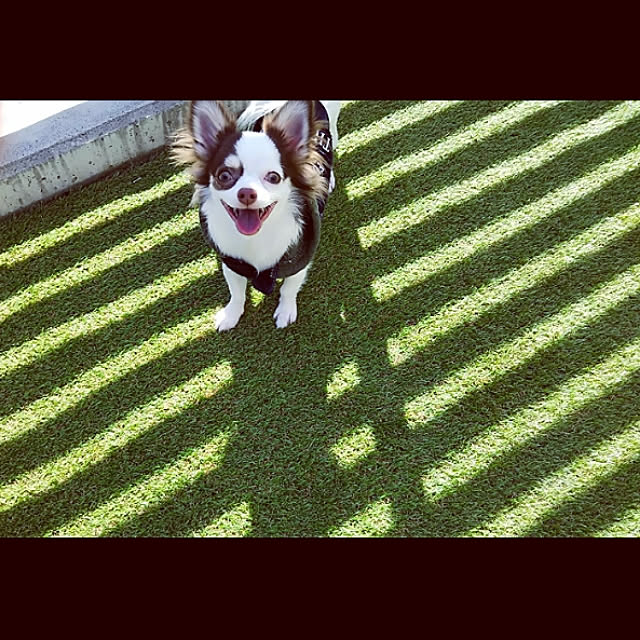 woodyさんの実例写真