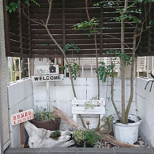 実例写真