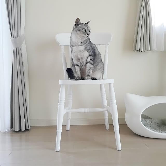 nicoさんの実例写真