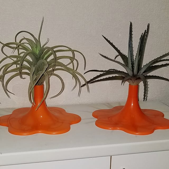 iquoさんの実例写真