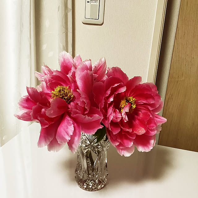 richanさんの実例写真