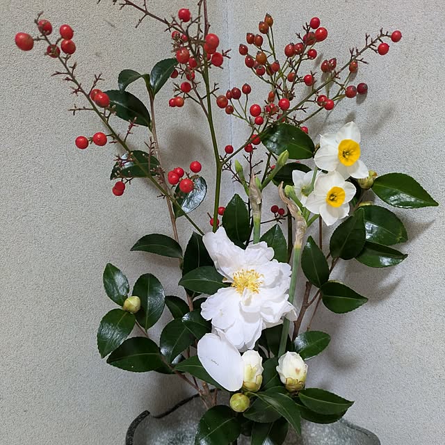 asaさんの実例写真