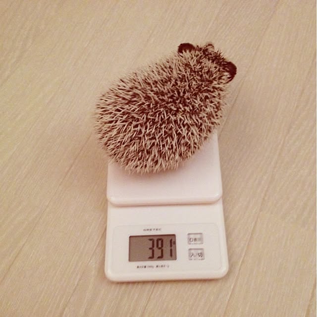rntkmrさんの実例写真