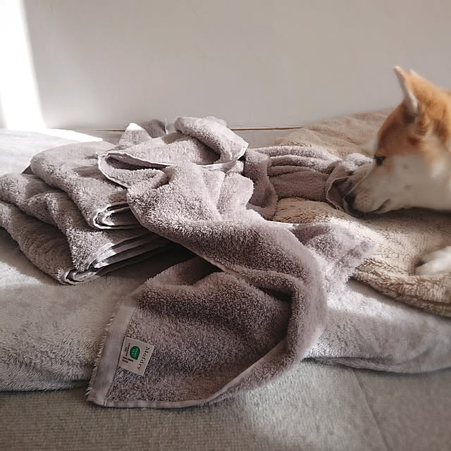 Mi-koさんの実例写真