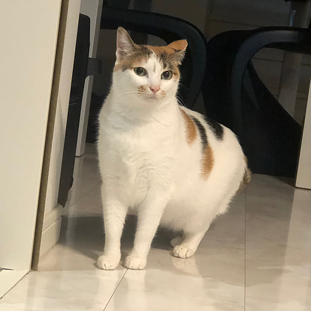 hiroさんの実例写真