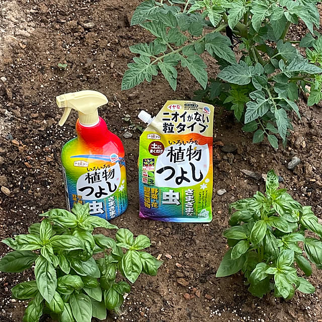 SIELUさんの実例写真
