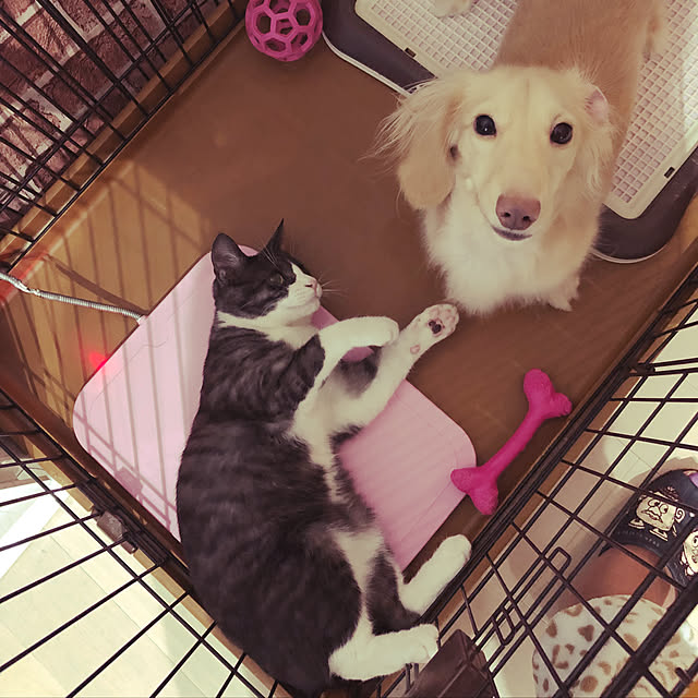 NEREさんの実例写真