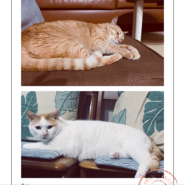 tututu0204さんの実例写真