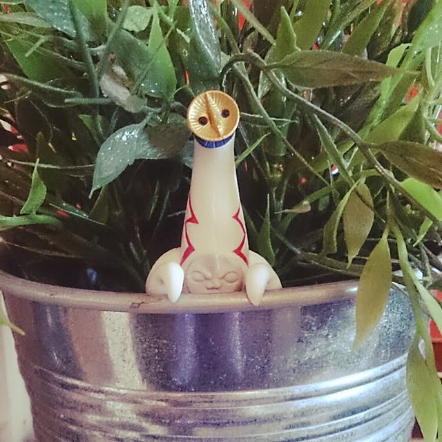 bigpapaさんの実例写真