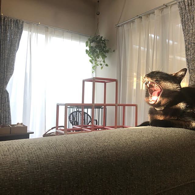 mutsuさんの実例写真