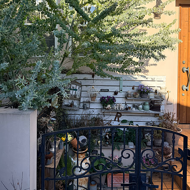 kokkomachaさんの実例写真