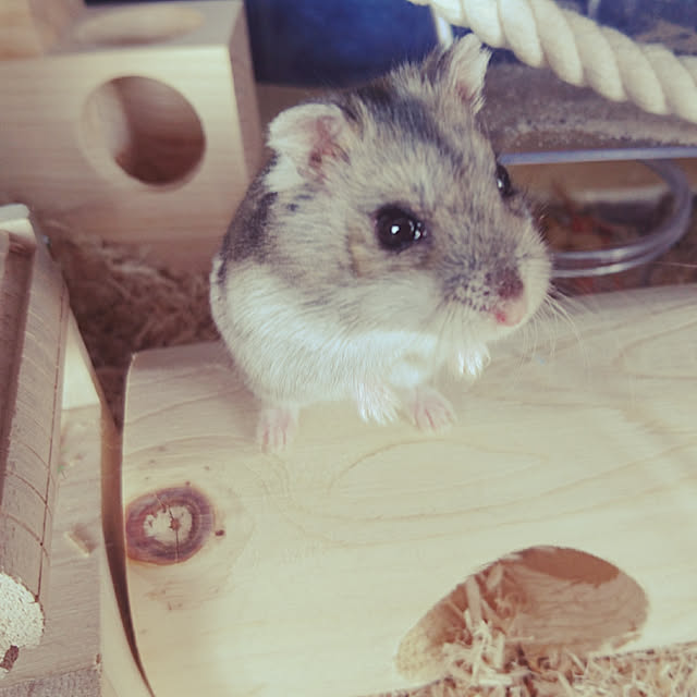 juunさんの実例写真