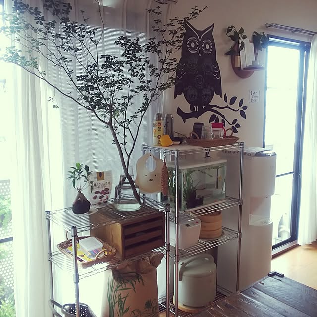 ahahaさんの実例写真