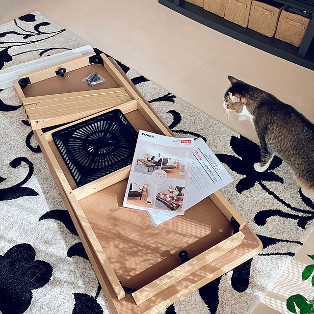 nekomiさんの実例写真