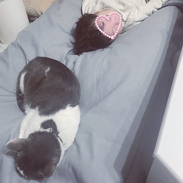 YUKA-REO-MOMOKOさんの実例写真