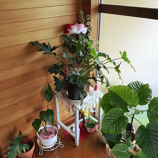 m-ktry.0530mikaさんの実例写真