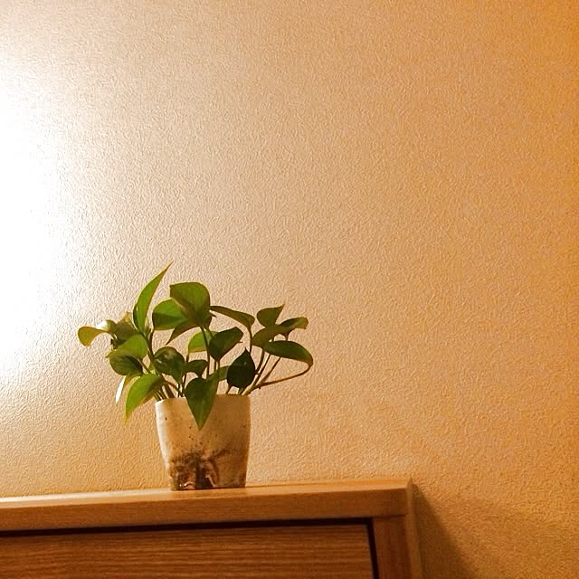 Nobuhiroさんの実例写真