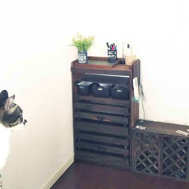 shinoさんの実例写真