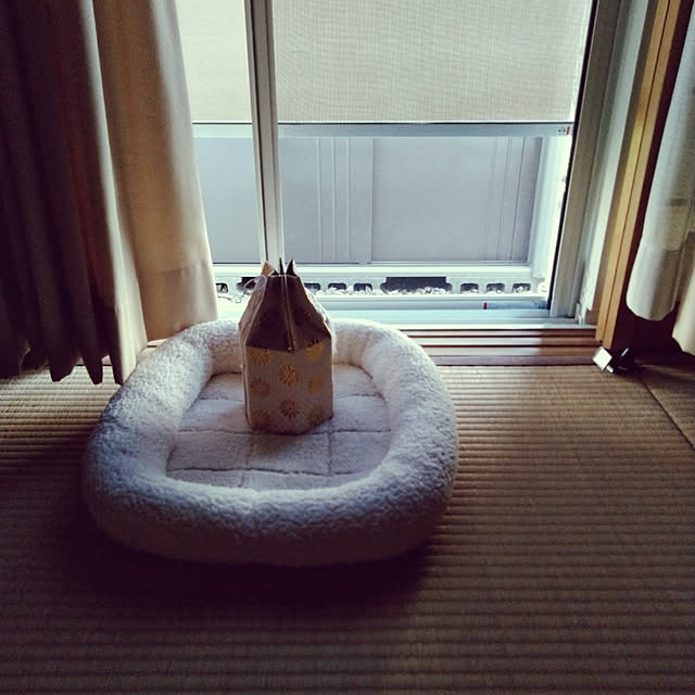 lilyさんの実例写真