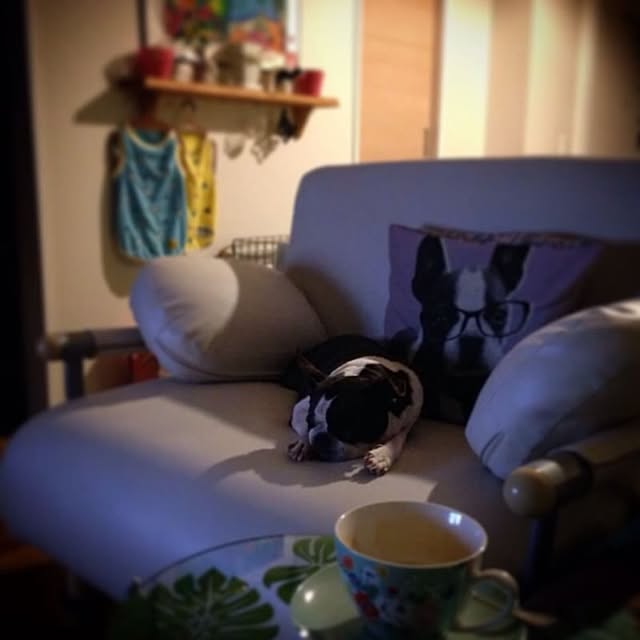 hidemomさんの実例写真