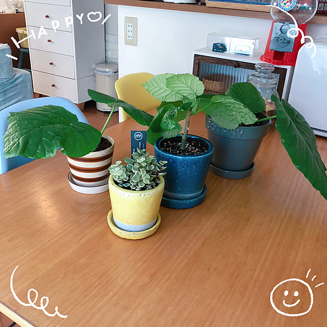 部屋全体/DULTON/ナチュラル/IKEA/雑貨...などのインテリア実例 - 2023-09-09 15:29:37