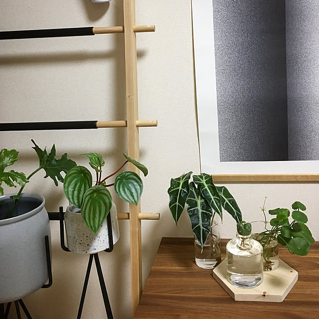 chataさんの実例写真