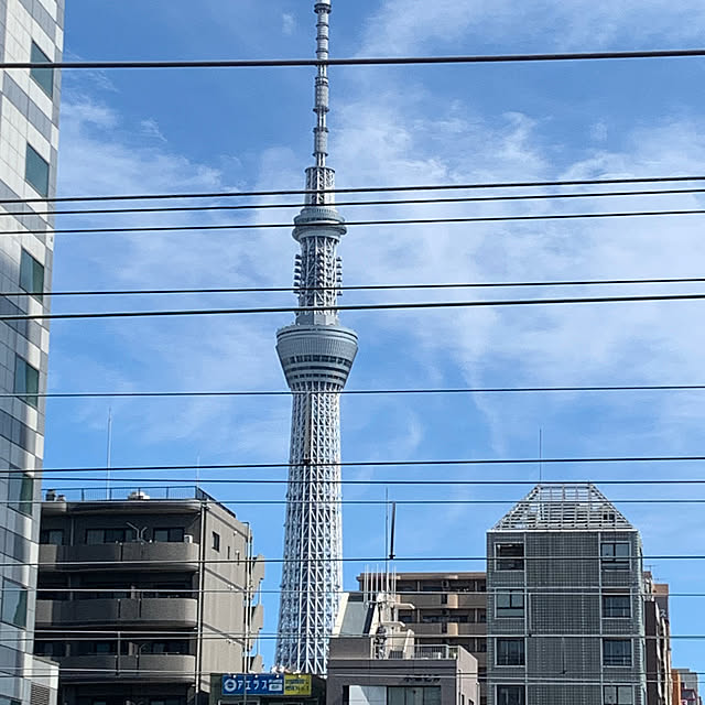 結果悪くてすみません(T . T)/応援ありがとうございました！/頑張ったんだけど(T . T)/政治絡みか(⁎⁍̴̆Ɛ⁍̴̆⁎)/試合の結果...などのインテリア実例 - 2023-07-02 15:59:28